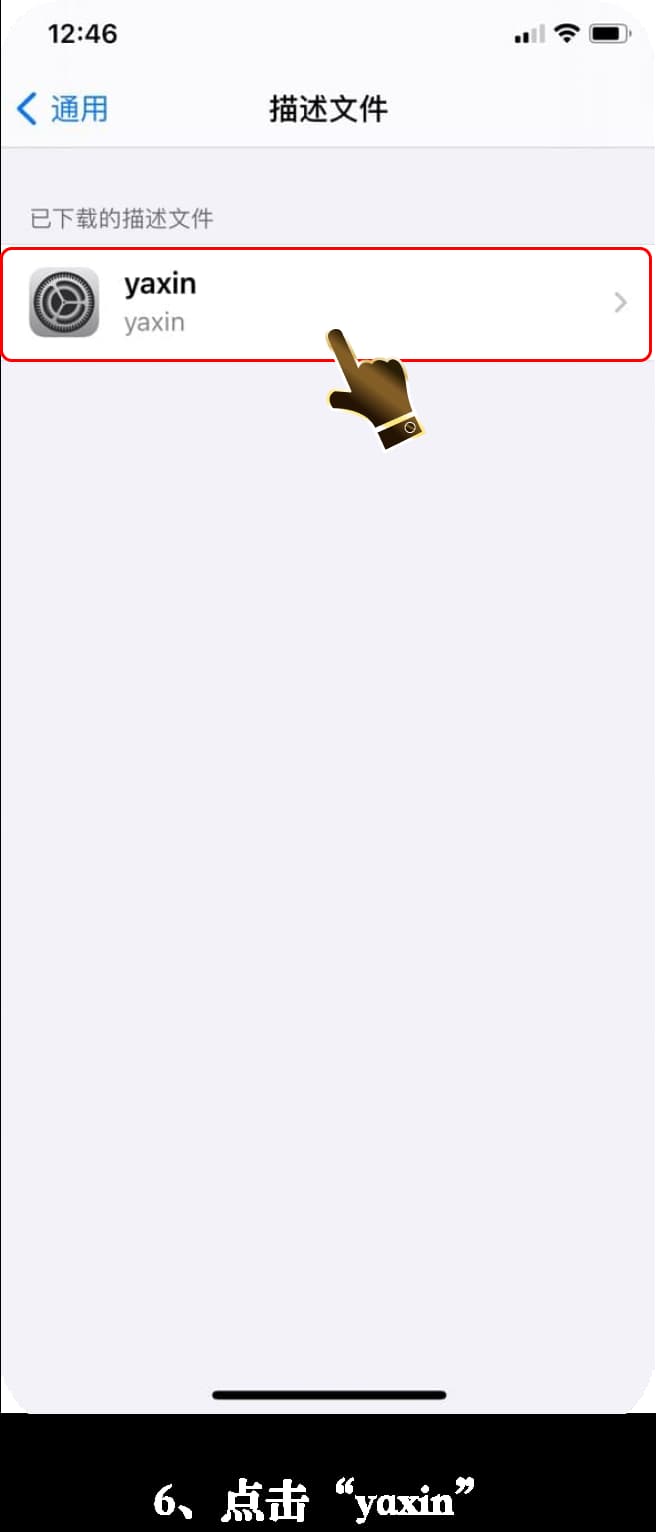 亚星iOS客户端安装流程·一步步怎么装的示意图6